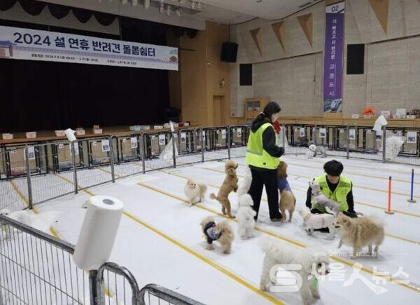 ▲설 명절 반려견 돌봄 쉼터.