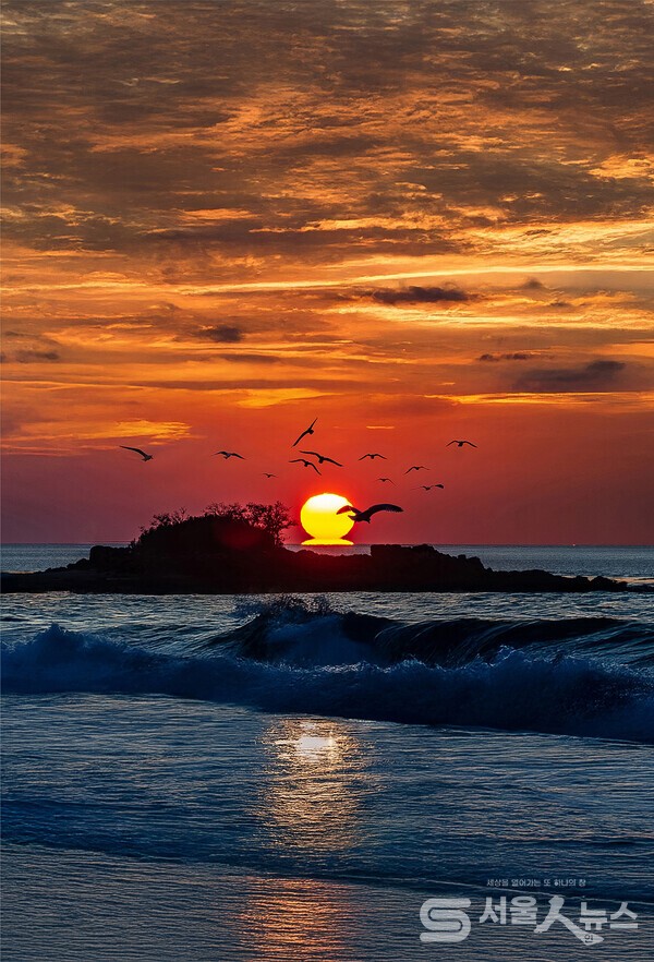 ▲ 강화도 장화리 대섬 일몰NIKON D850F11 1/100s ISO 64 100mm