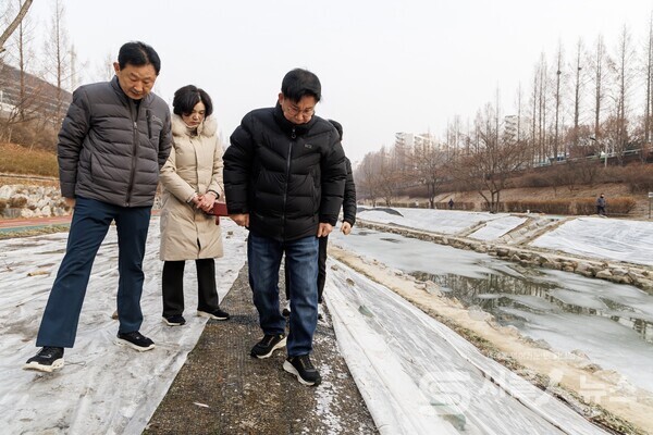 ▲박강수 마포구청장, 월드컵천 청보리 식재 현장 점검.