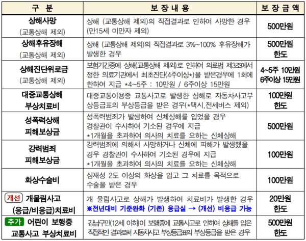 강남구 ‘구민안전보험’ 보장 항목.