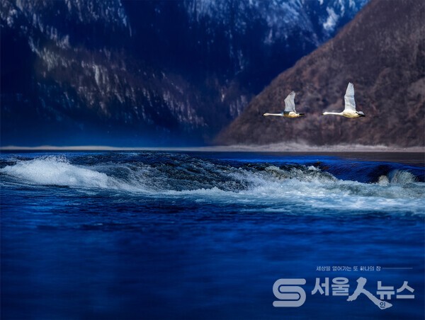 ▴Nikon D850, 390mm, F5.6, 1/1000s, ISO 64, 수동촬영.