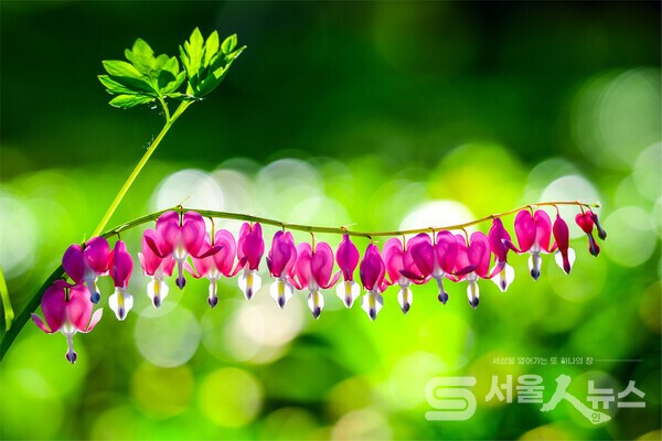 ▴Nikon D850, 290mm, F5.6, 1/60s, ISO 64, 수동촬영