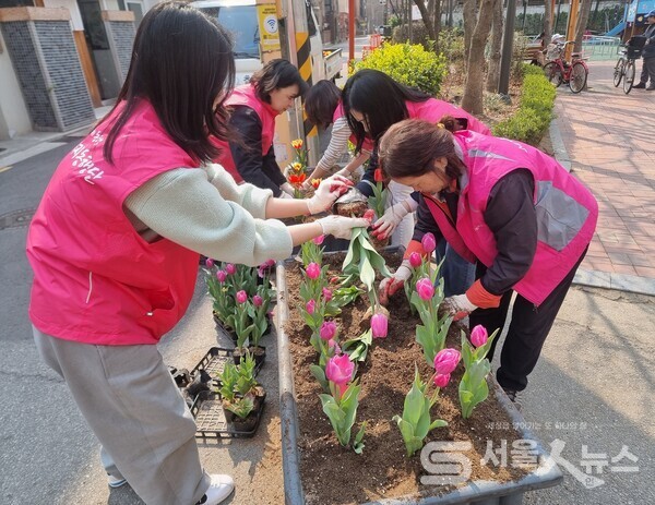 ▲ (좌) 4월 2일 망원1동 직원들과 새마을부녀회, 실뿌리복지동행단이 꽃길을 조성하고 있다.